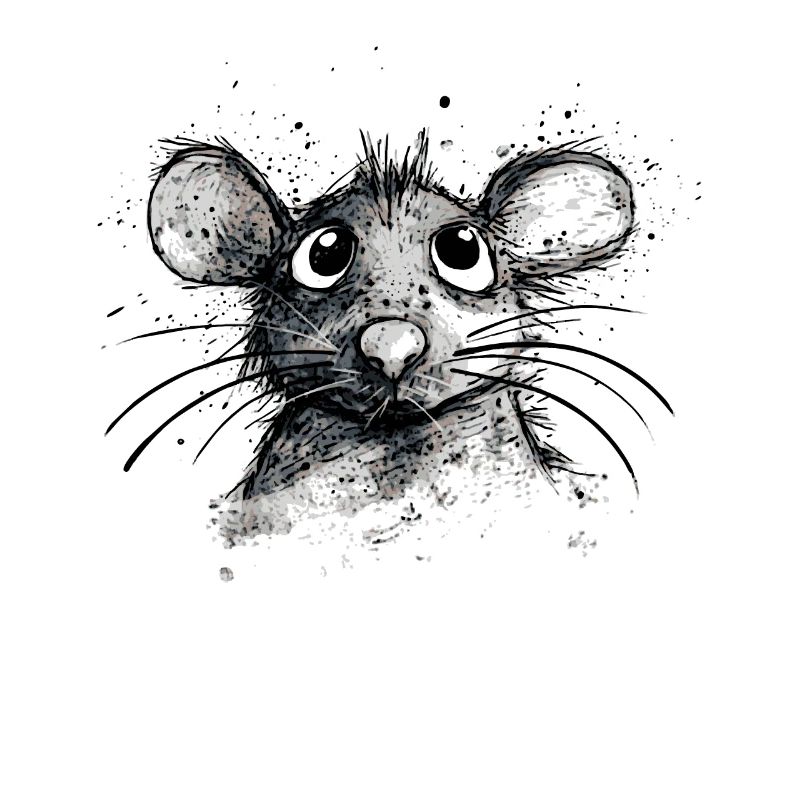 Cartoon Mouse