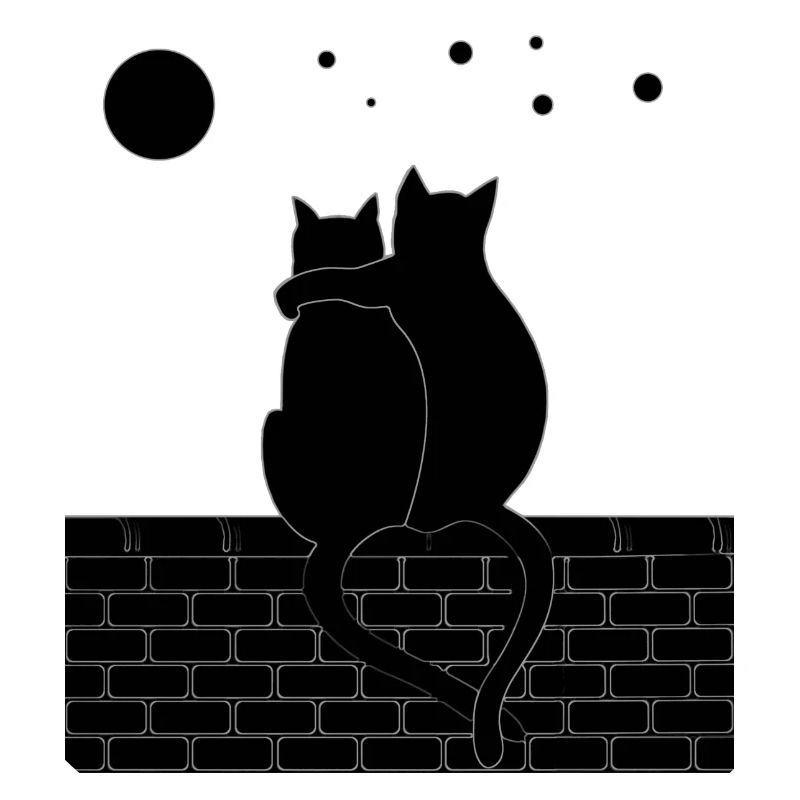Chat et Chat