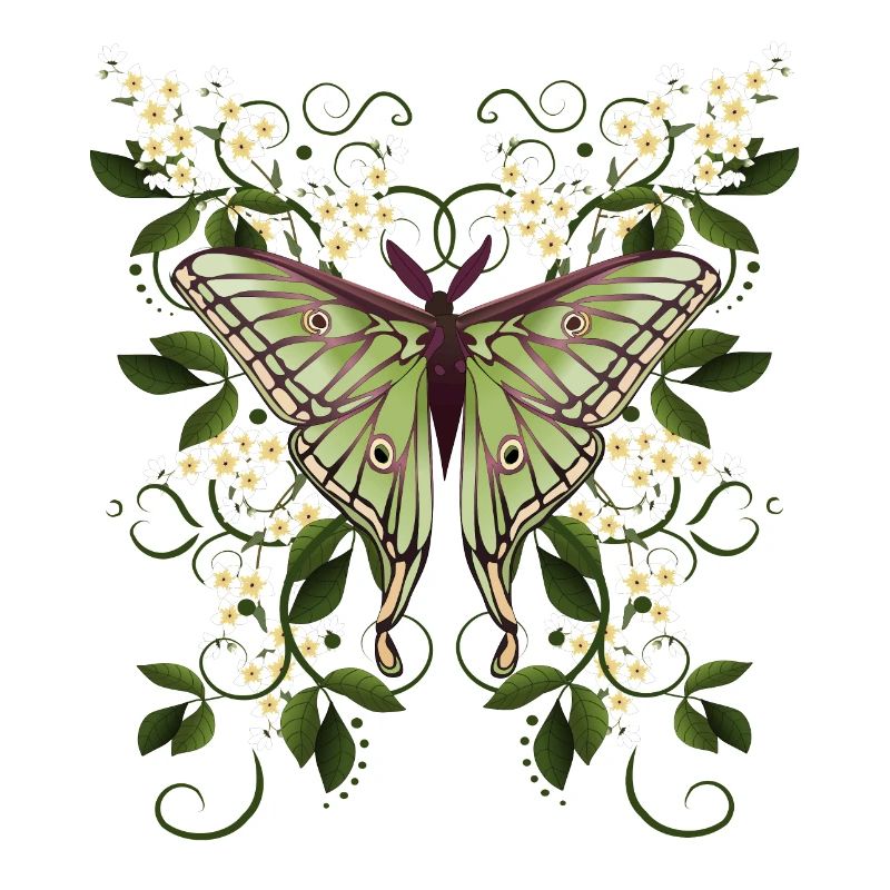 papillon papillon papillon papillon