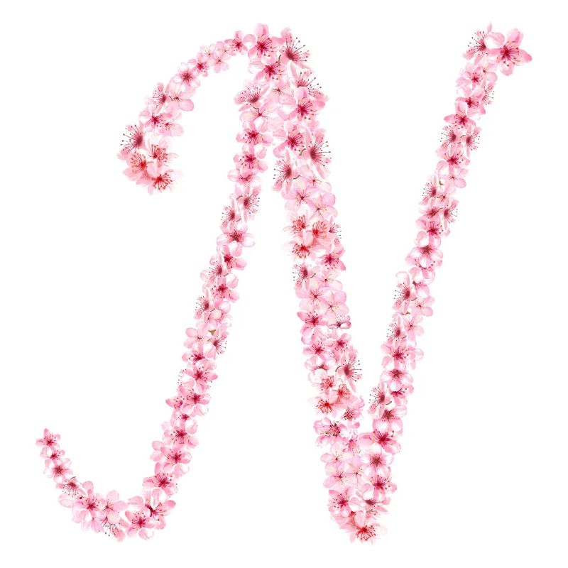 Cherry blossom initial N