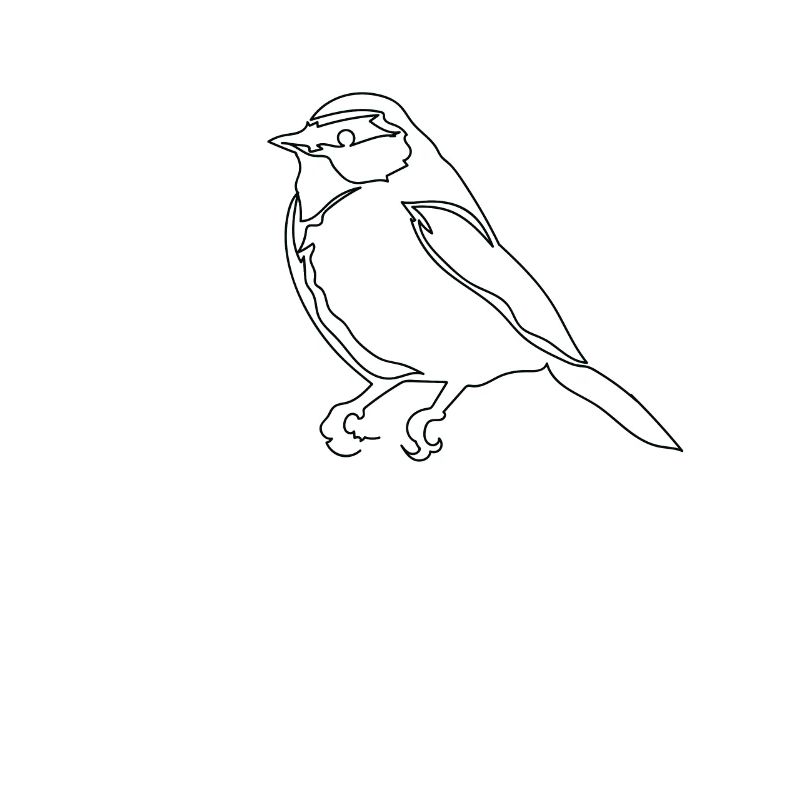 One Line Drawing Vogel Sparrow Single Art