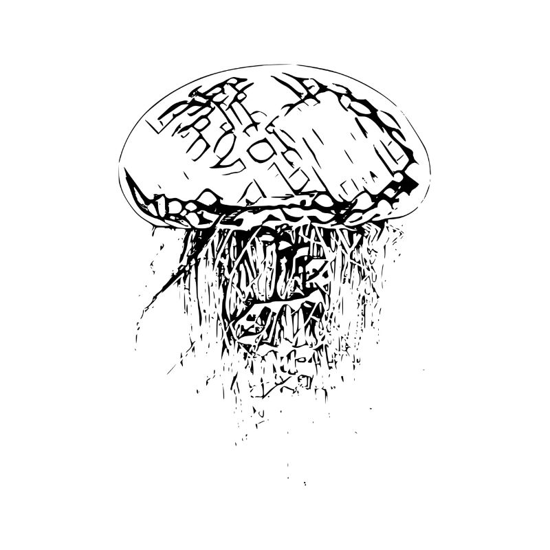 Jellyfish