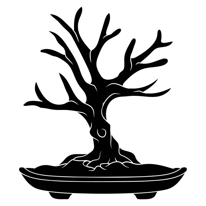 black tree cool bonsai baeumchen without leaves k