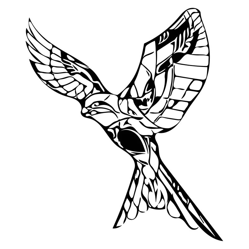 Elegant flying hawk