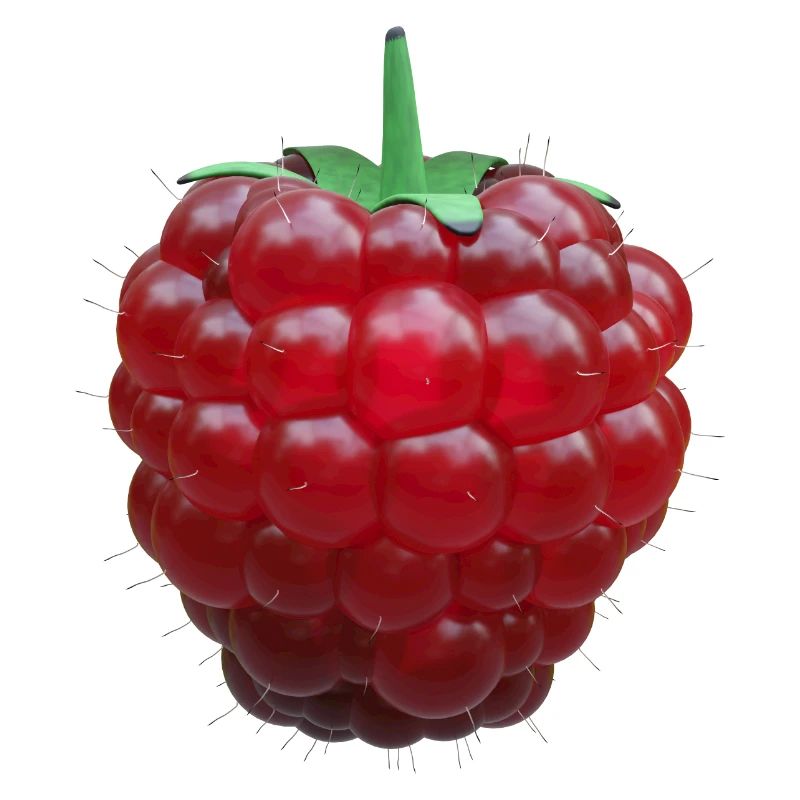Raspberry