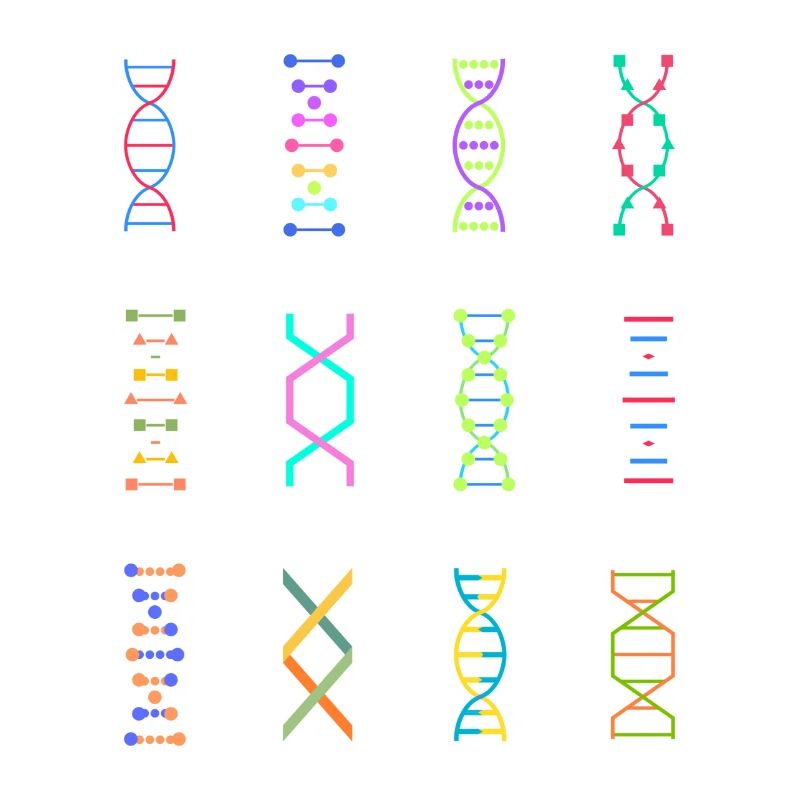 DNA genetics stem biology