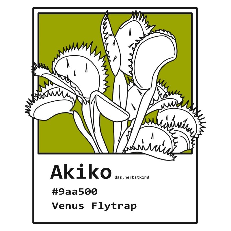 Venus Flytrap Akiko