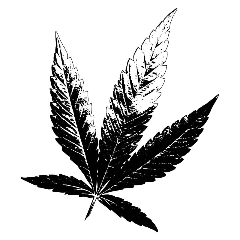 Cannabis Hanf Blatt