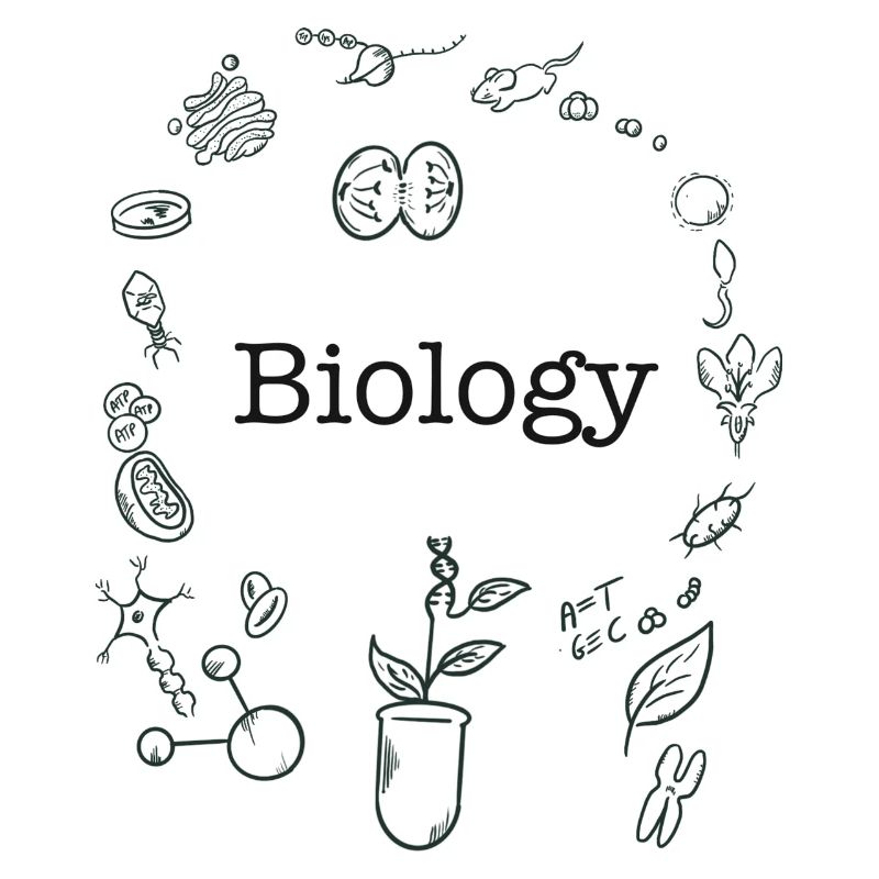 Biology theme