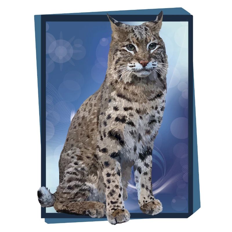 Lynx