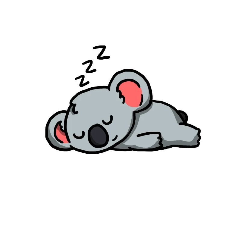 Cute Sleeping Koala Gift Idea