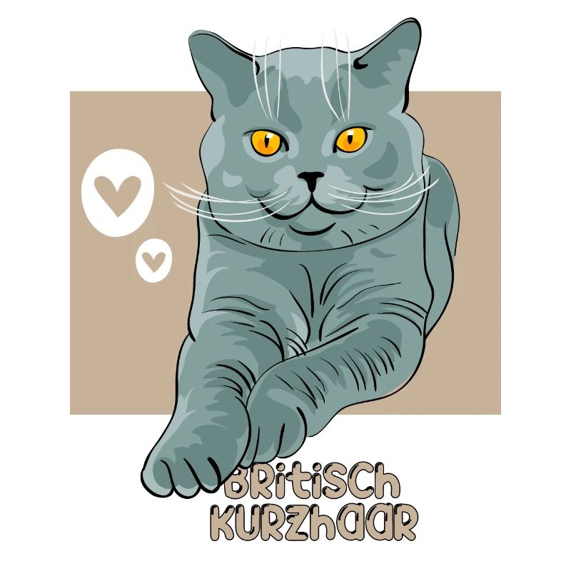 britisch kurzhaar Katze