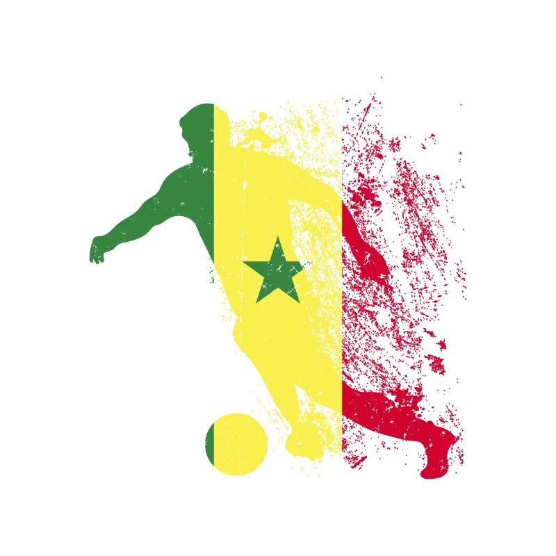 Coupe du monde de l’équipe nationale du Sénégal