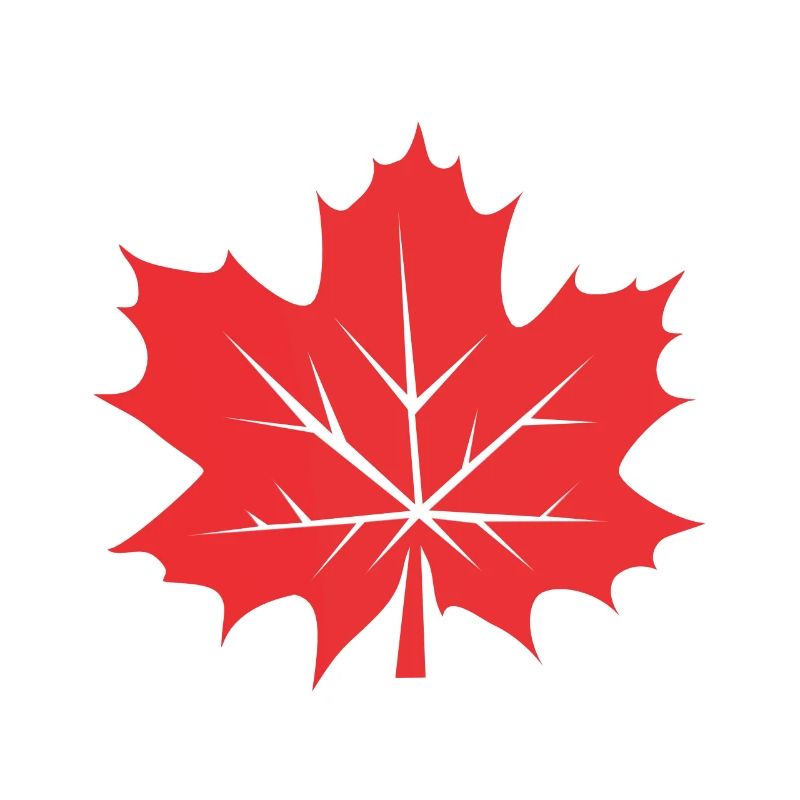 Leaf Maple Leaf Canada Tree