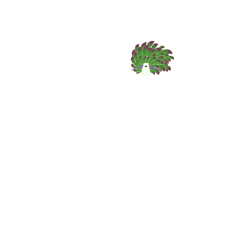 Nudibranches nudibranches