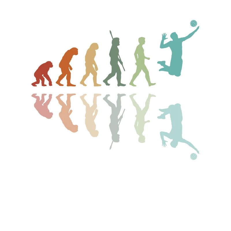 Volleyball Évolution