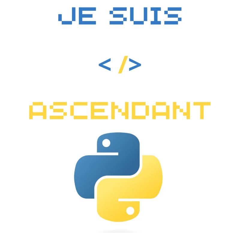 cadeau pour développeur python