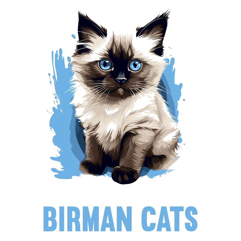 Birman Cat Birma Katze