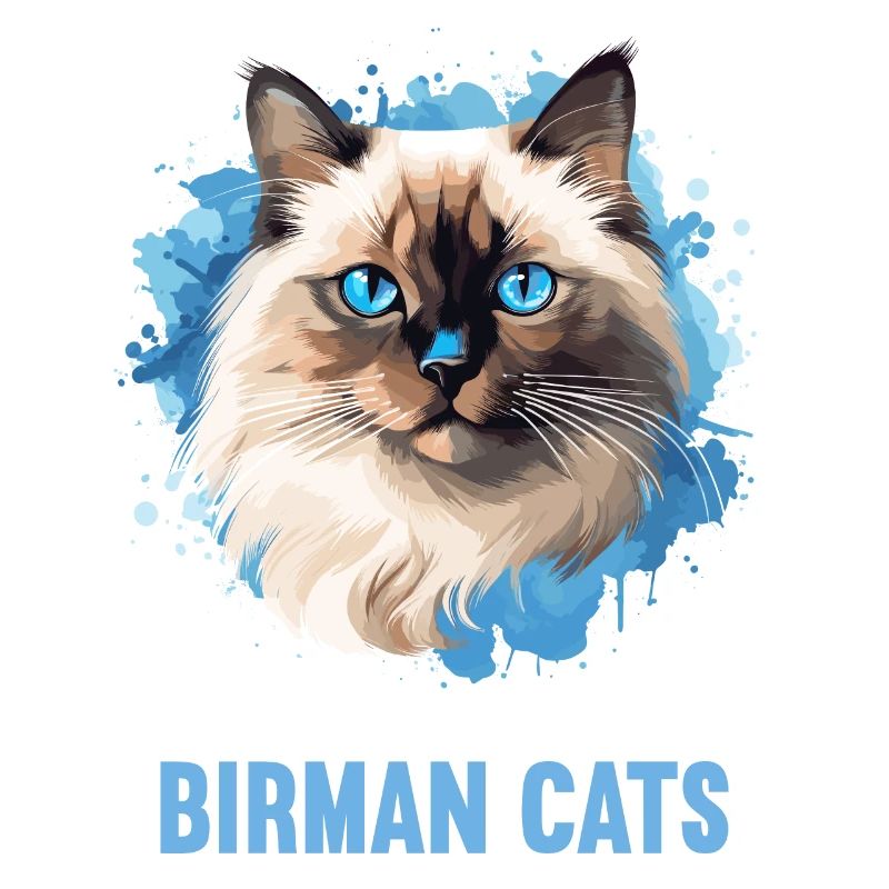Birman Cat Birma Katze