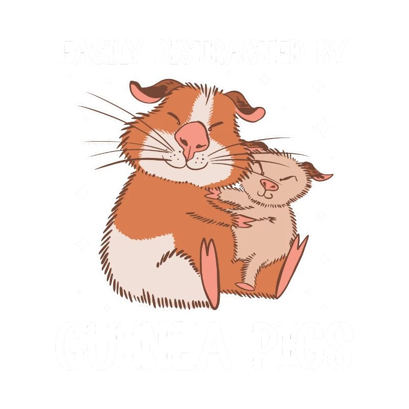 Cochon d’Inde