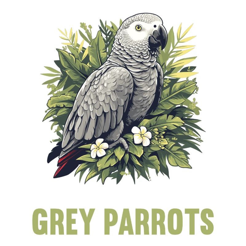 Perroquets gris d’Afrique