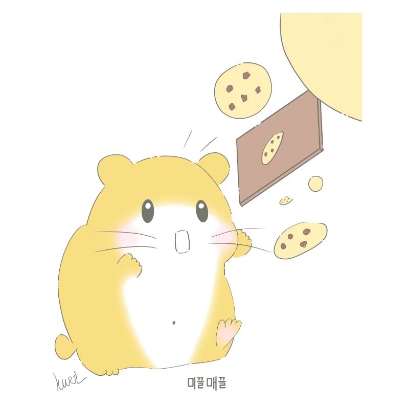 Baking Hamster Korea