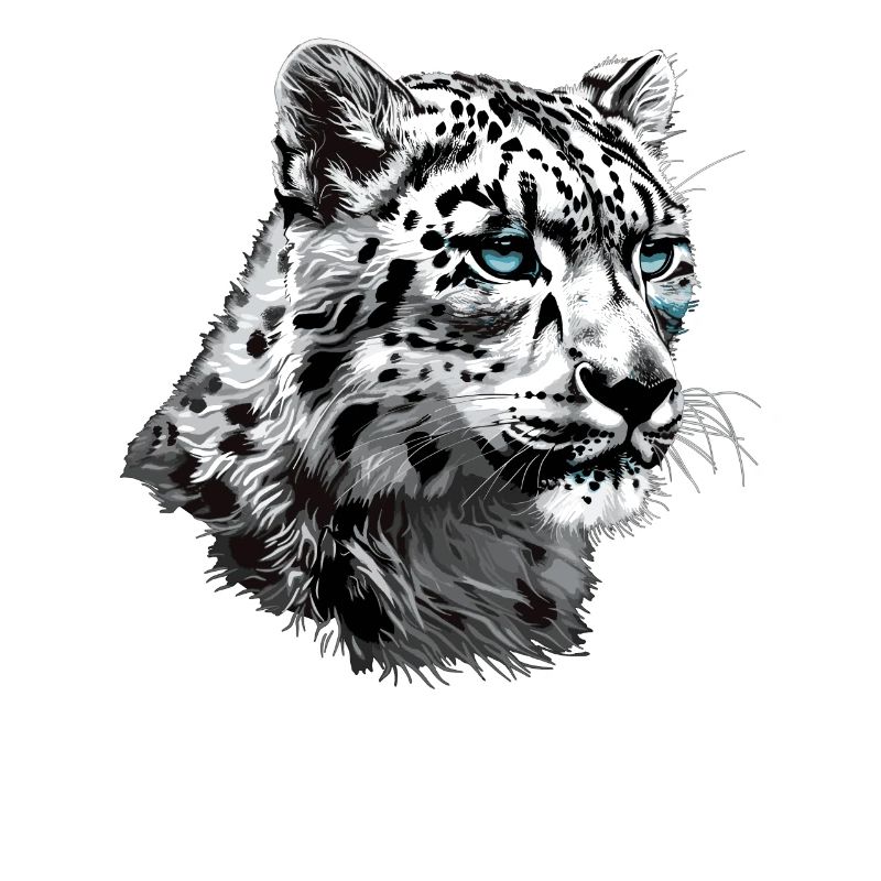Snow Leopard Schneeleoparden Schneeleopard