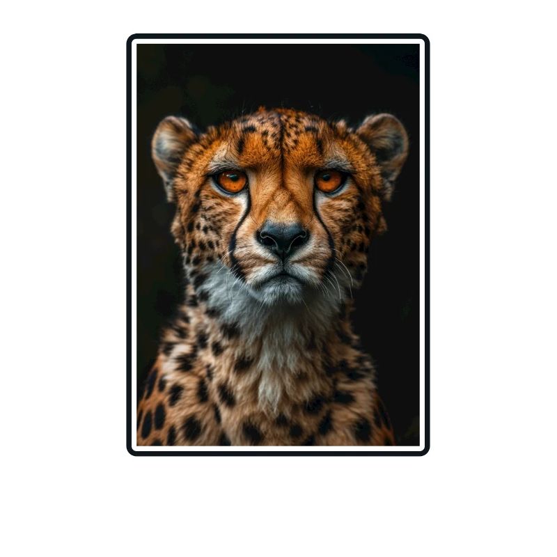 Guépard Geparde Gepard
