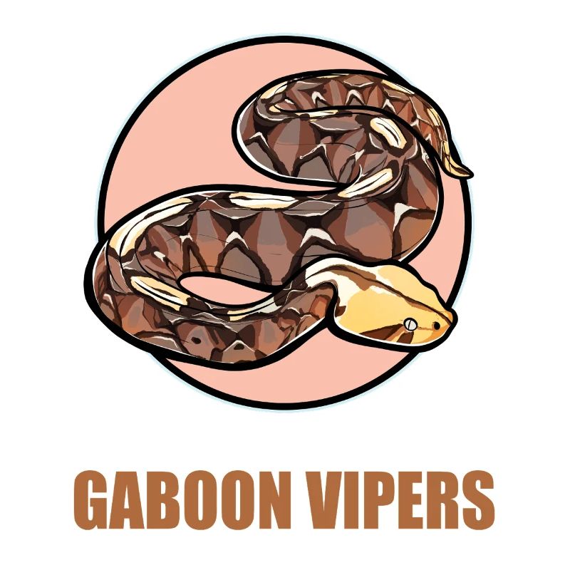 Gabon Vipers Gabon Vipers