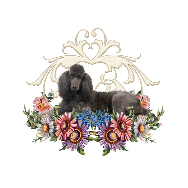 Caniche mignon avec des fleurs