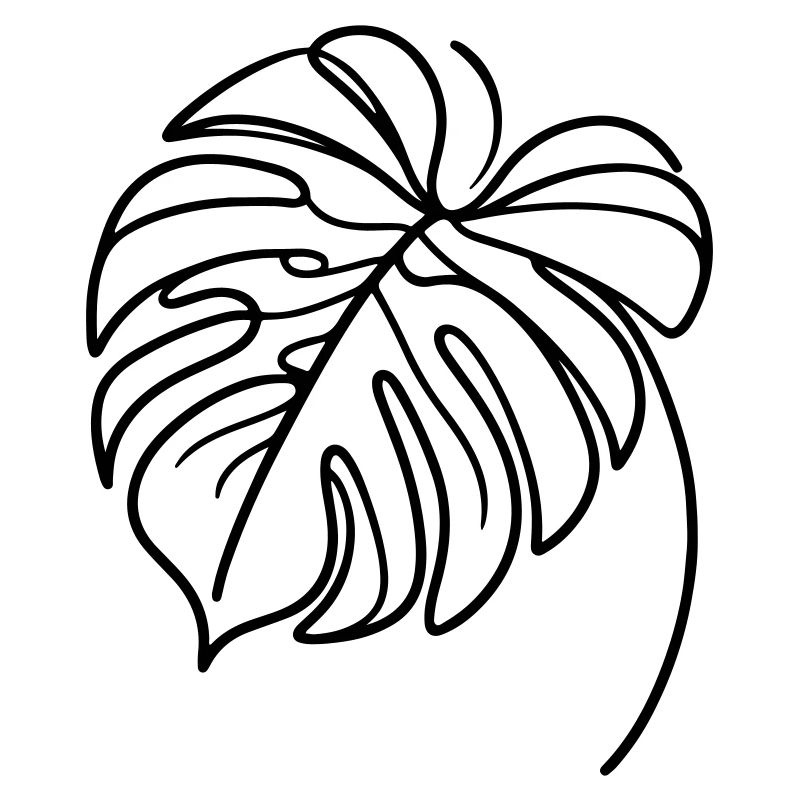 Monstera