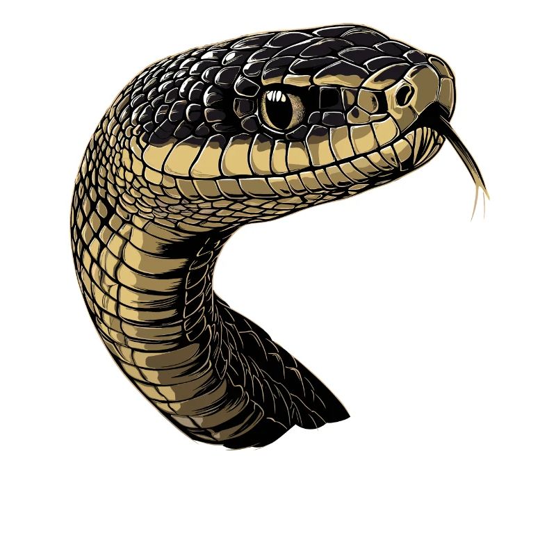 Serpent Python Cobra Mamba Serpent à sonnettes Serpent