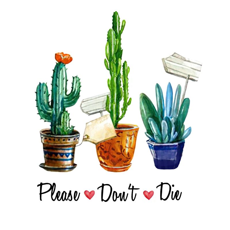 Plant Lover Boho