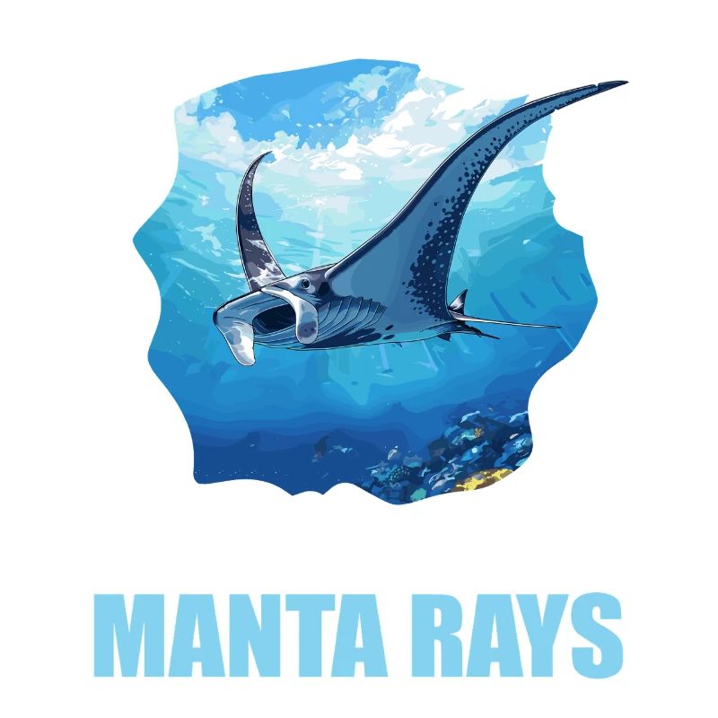 Rochen Mantarochen