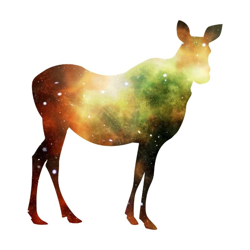 Étoiles de l’espace Moose