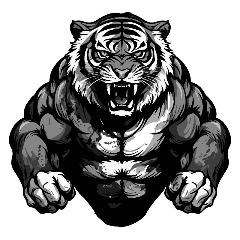 Musculation Tiger Muscles