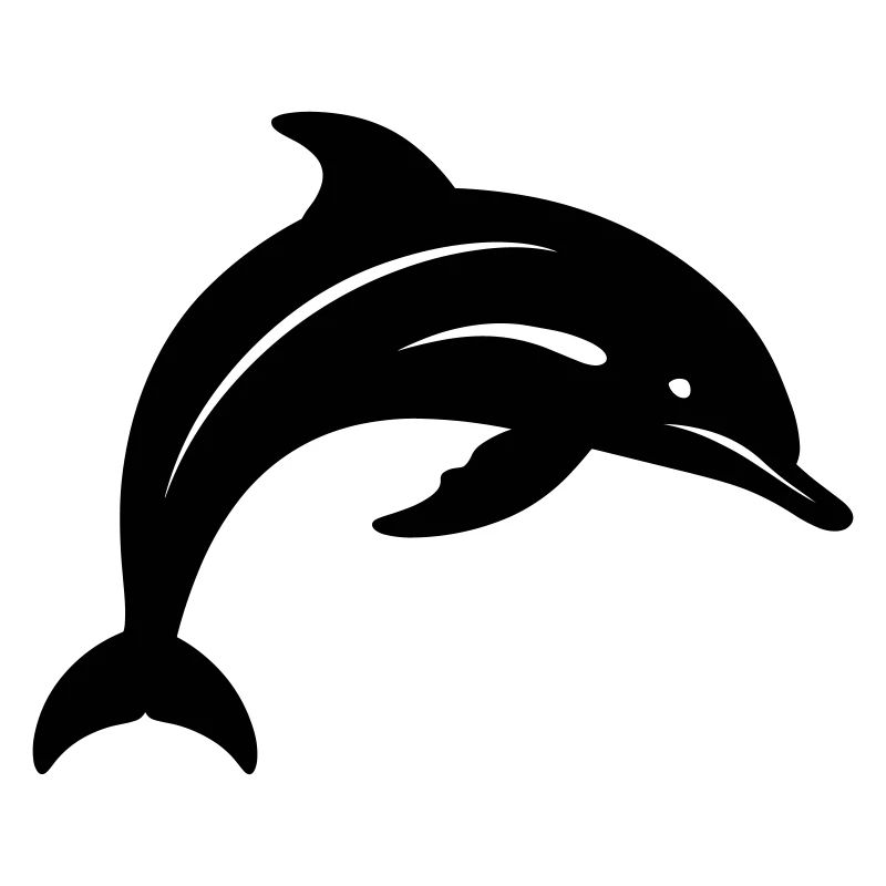 Dolphin