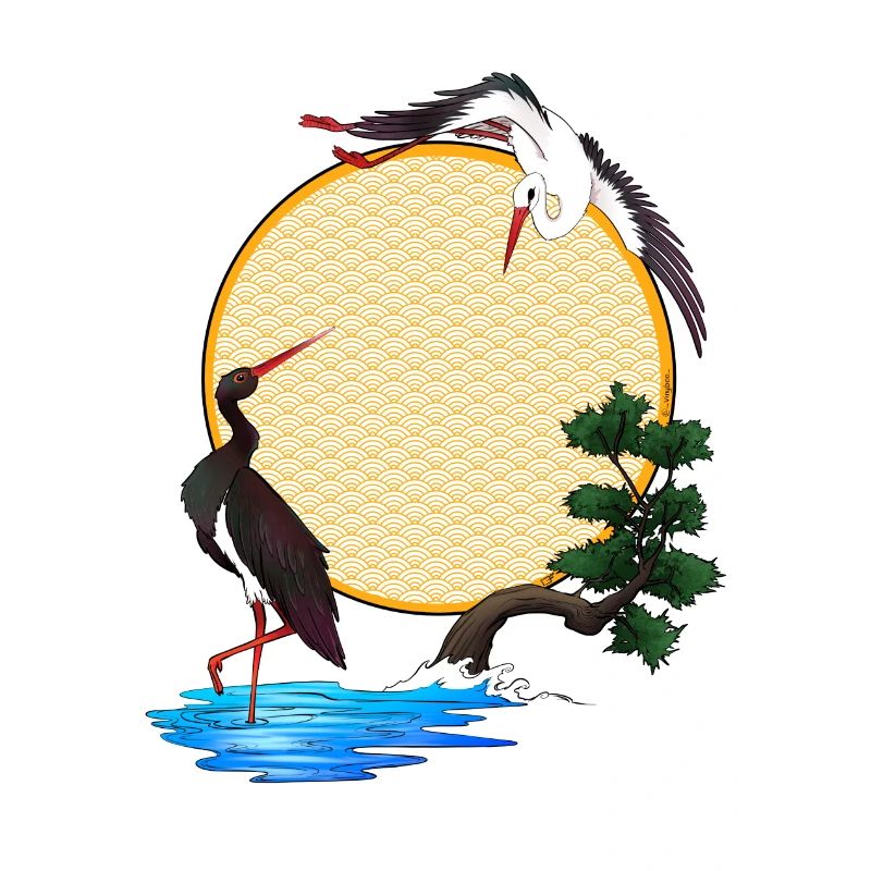 Storks - Japan - Alsace - Sun