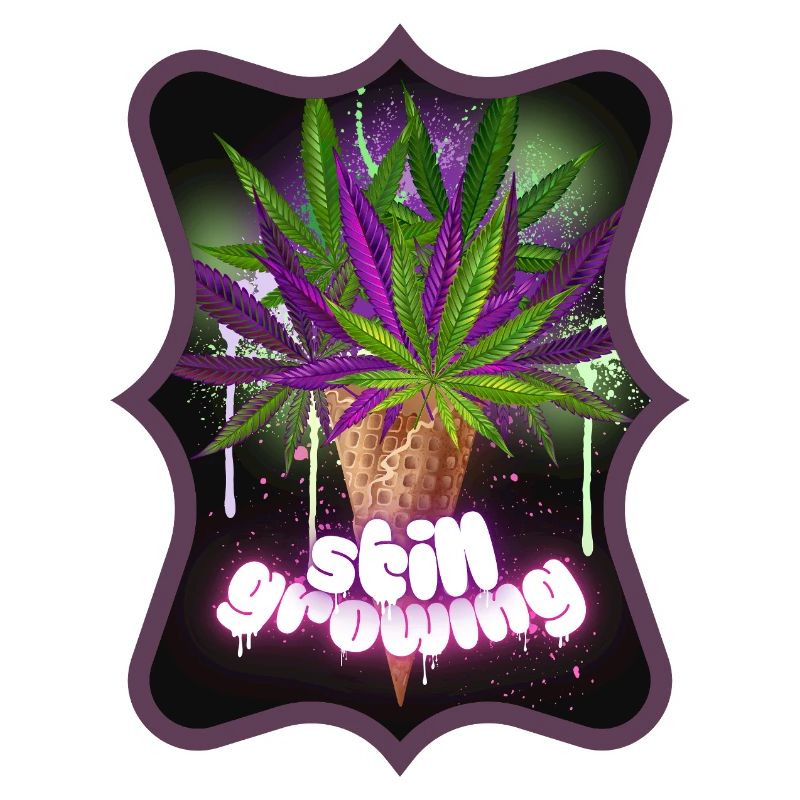 Still Growing Hanf Spruch Pflanze