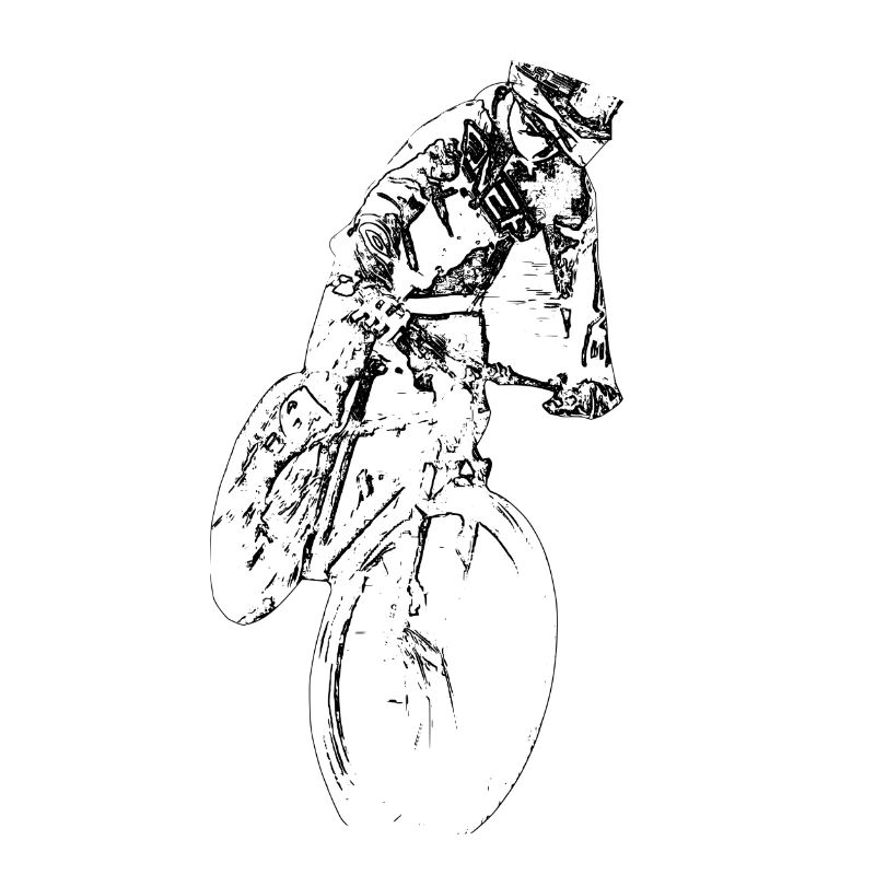 VTT, conduite, descente