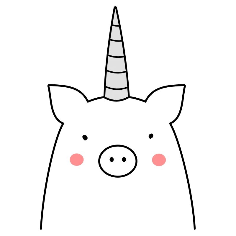 witziges Schwein Einhorn Sau Geschenkidee
