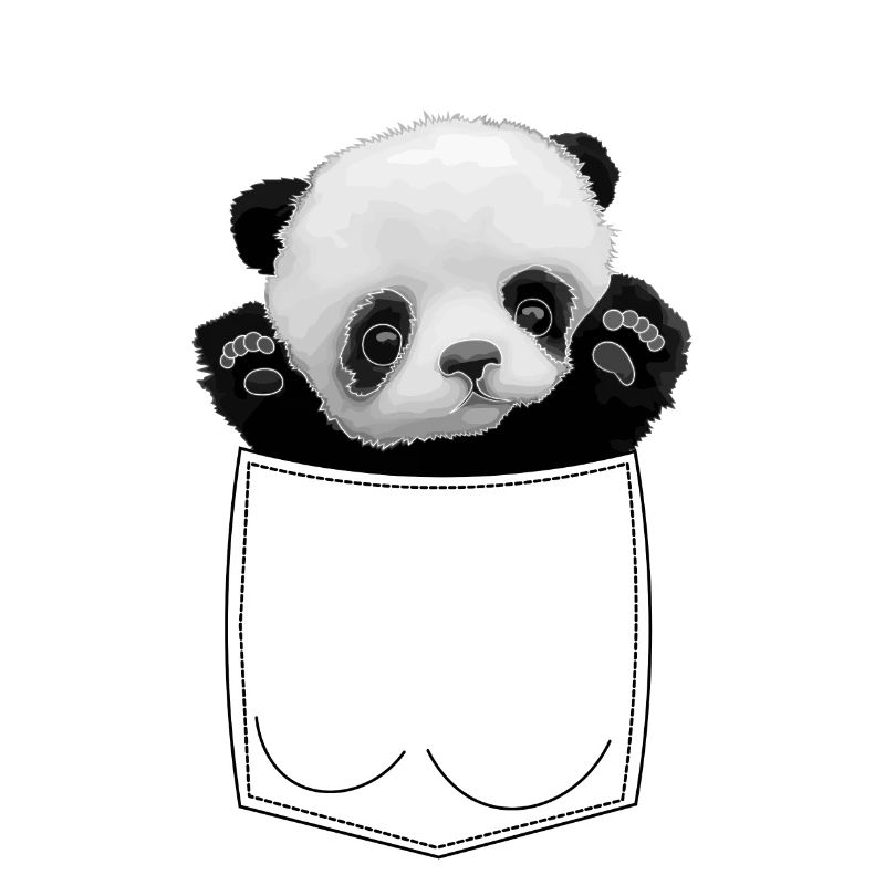 Panda bébé dans la poche de poitrine