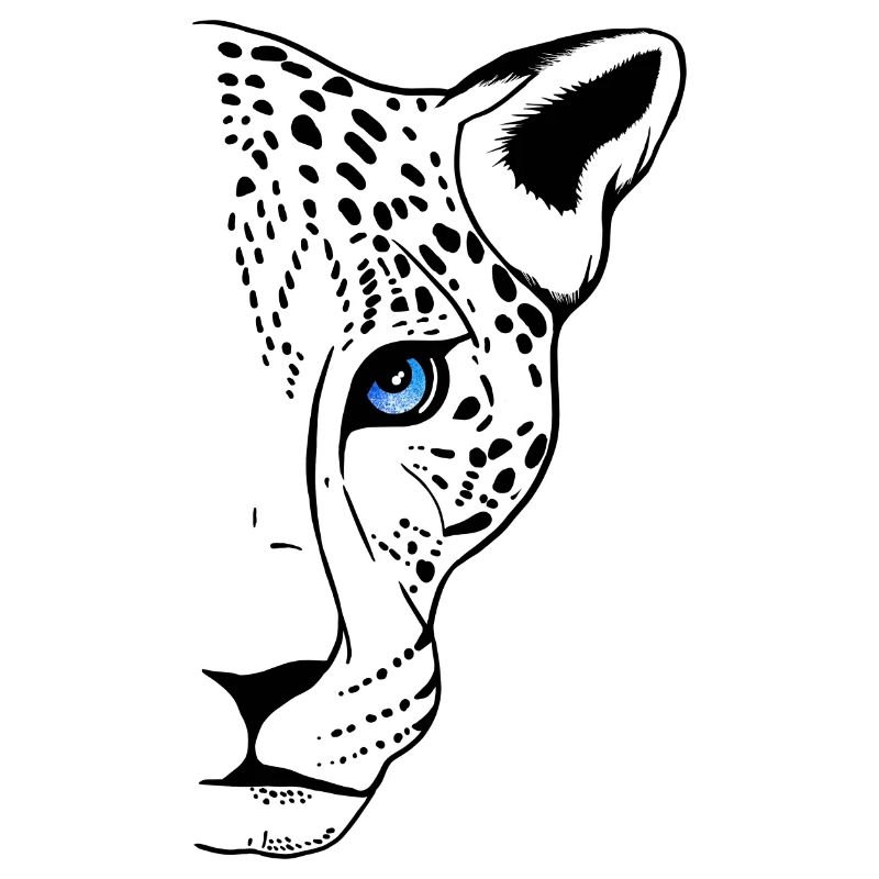 Snow leopard