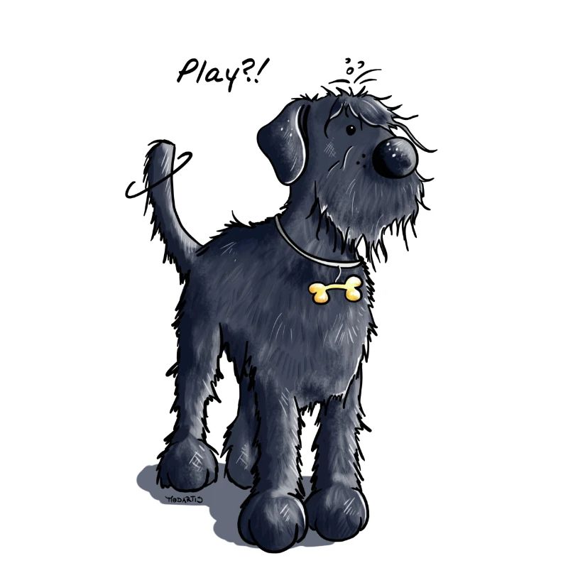 Schnauzer Géant Play - Chien - Chiens - Cadeau