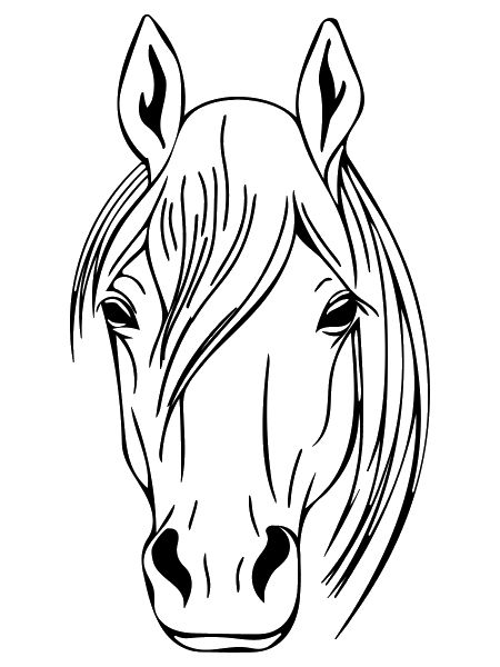 Pferdekopf Vector