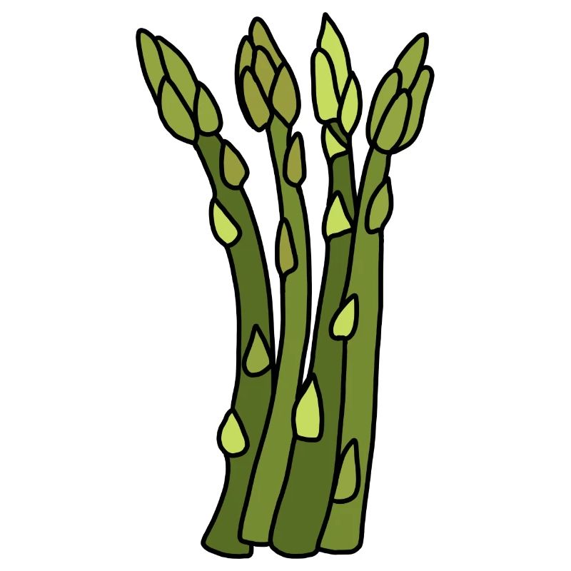 Spargel Zeit