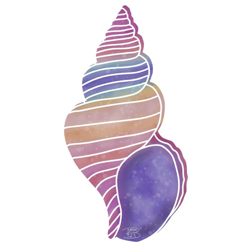« Snail Shell », Boho Line Art Design, « Shells »
