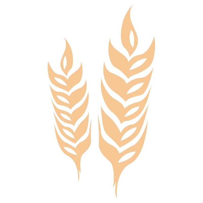 barley cereal symbol wheat logo icon vector