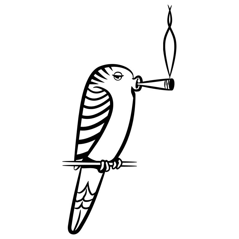 wellenstittich joint kiffen