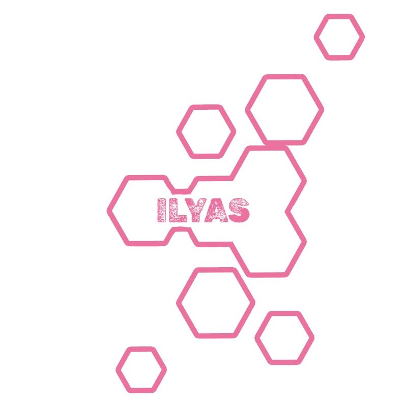 Nom : Ilyas